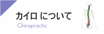 カイロについて