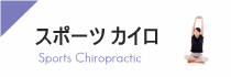 スポーツカイロについて