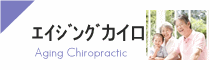 エイジングカイロについて